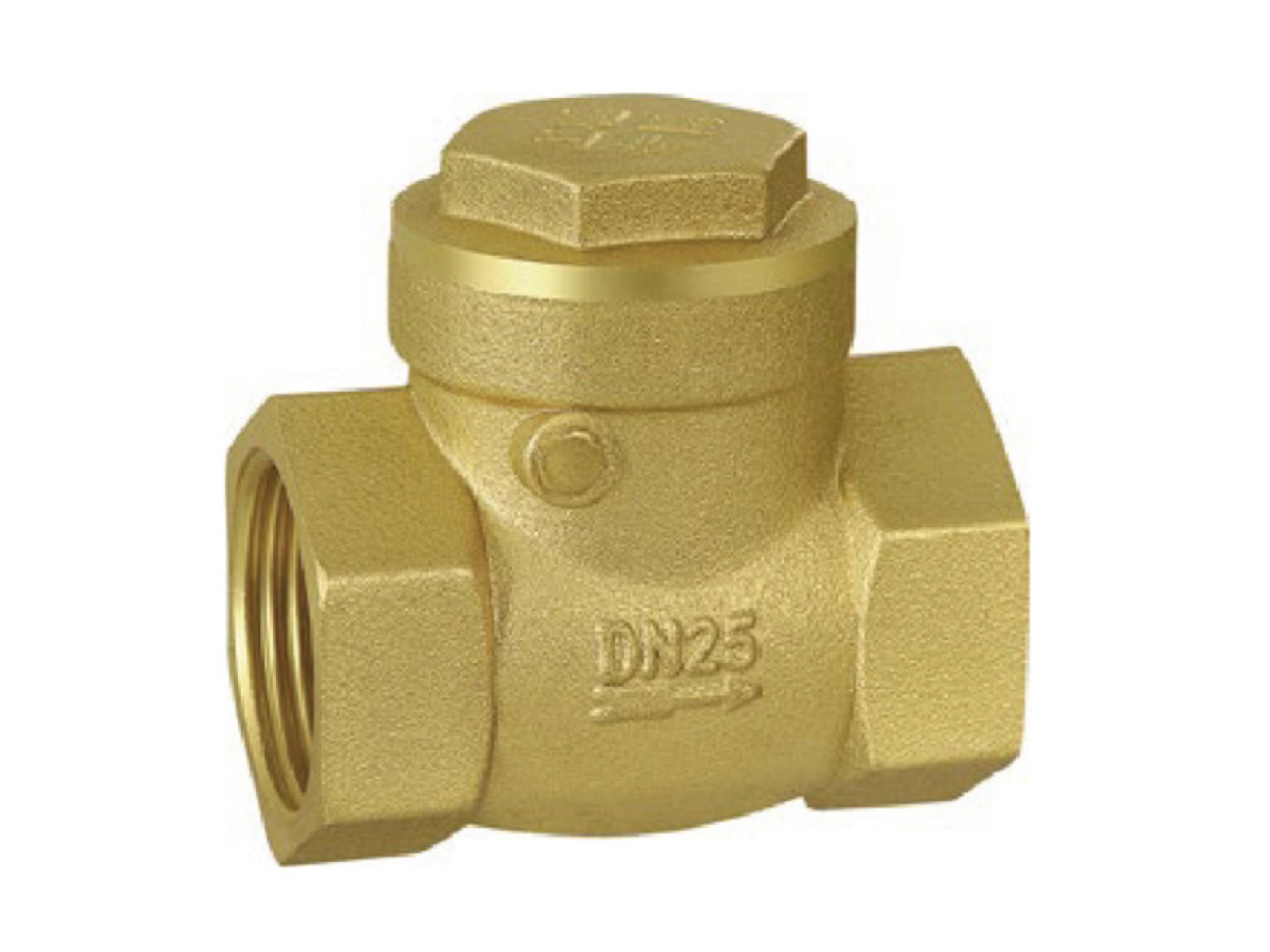 Check valve