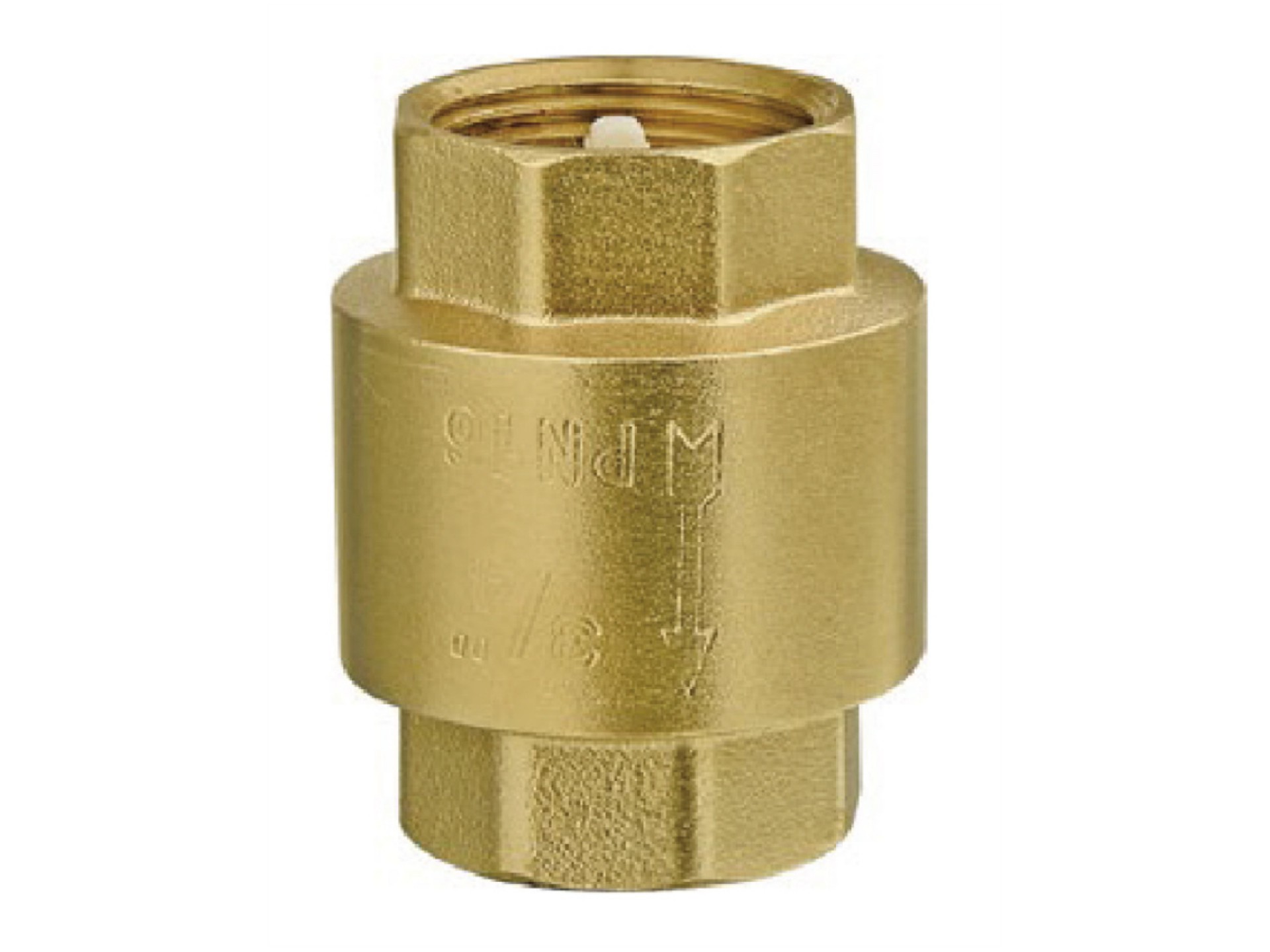 Vertical check valve