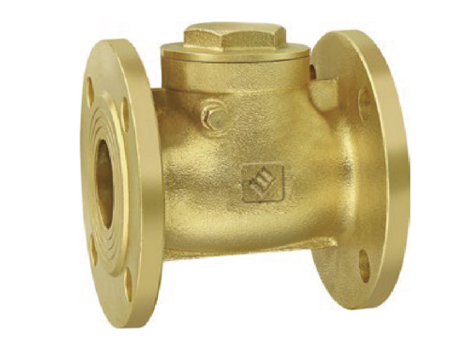 Flange check valve