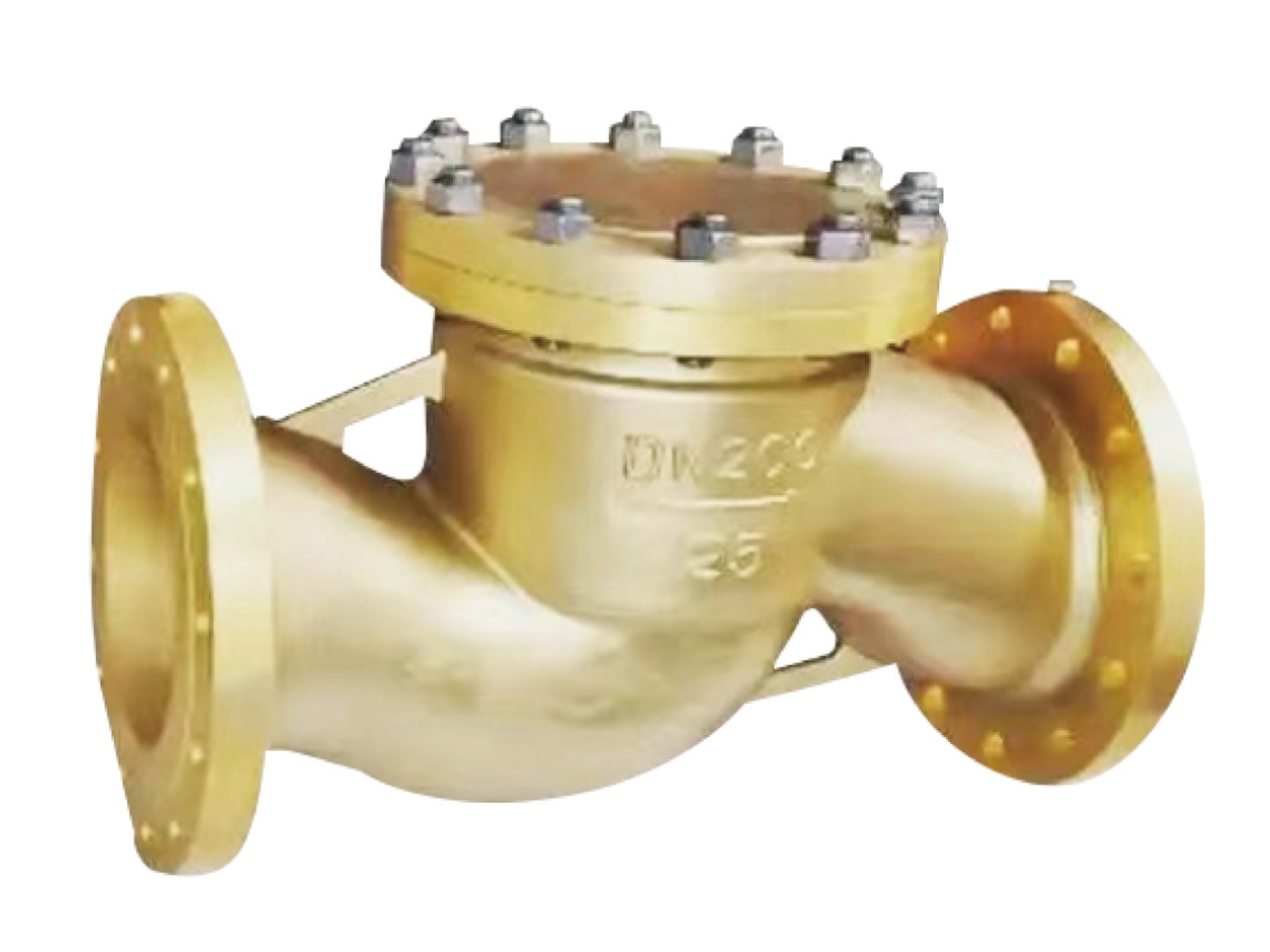Flange lift check valve